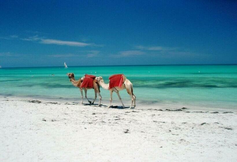 Tamalou Djerba