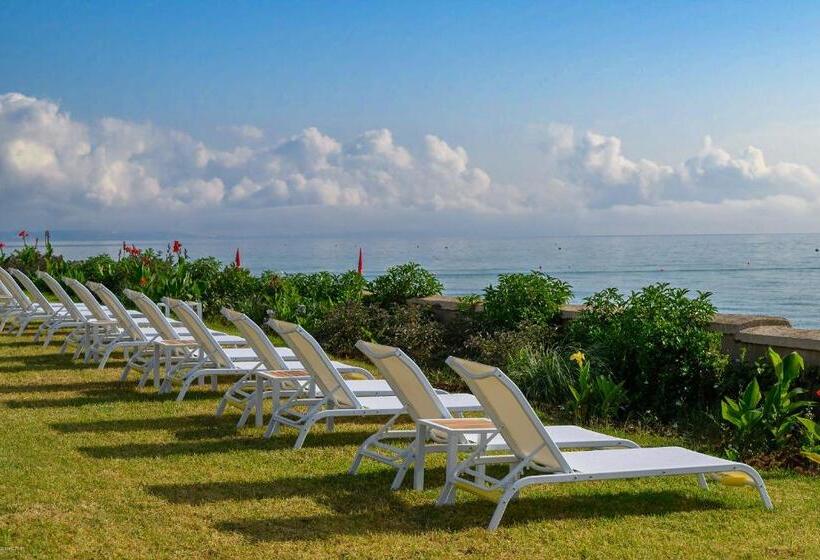 فندق Playa Del Pacha Suites