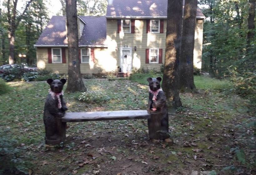 Bear House B&b