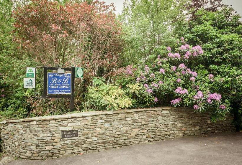 住宿加早餐  Lis Ardagh Lodge
