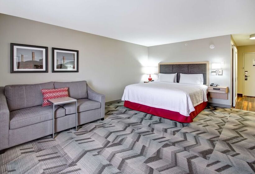 هتل Hampton Inn & Suites By Hilton Medicine Hat
