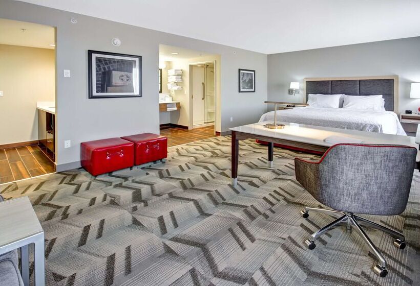 هتل Hampton Inn & Suites By Hilton Medicine Hat