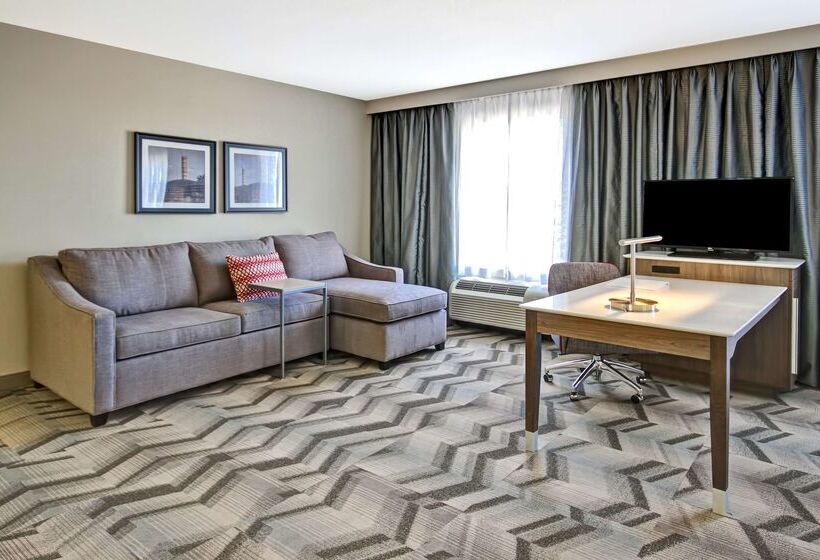 هتل Hampton Inn & Suites By Hilton Medicine Hat