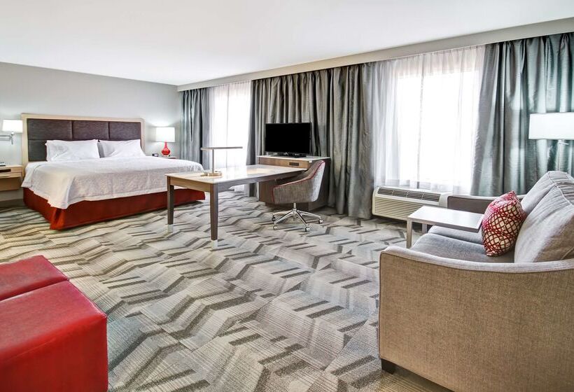 هتل Hampton Inn & Suites By Hilton Medicine Hat