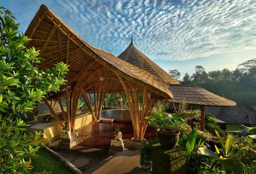 Fotos del hotel Jannata Resort And Spa:  10