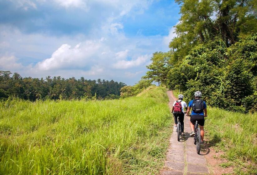 Fotos del hotel Jannata Resort And Spa:  40