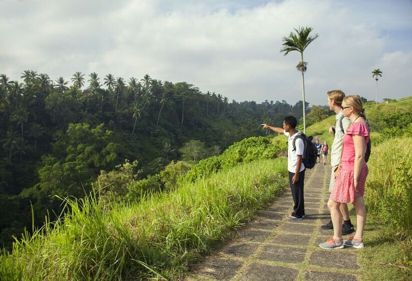 هتل Jannata Resort And Spa
