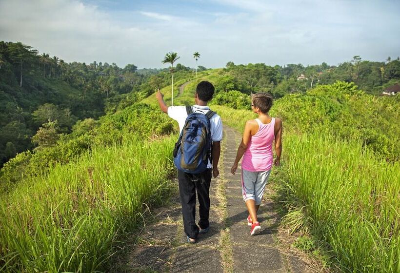 Fotos del hotel Jannata Resort And Spa:  42