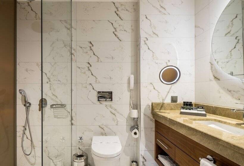 Fotos del hotel Lionel  Istanbul:  41