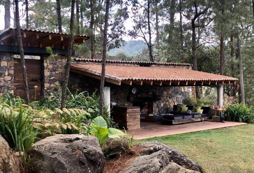 مبيت وإفطار Xomue