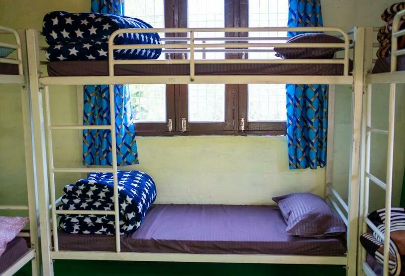 Yellow Bird Hostel & Cafe