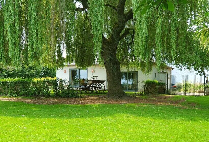 Bed and Breakfast Le Domaine Du Château Blanc à 10 Minutes De Pairi Daiza
