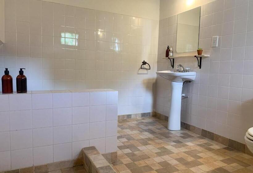 تختخواب و صبحانه Terra   Casa De Campo