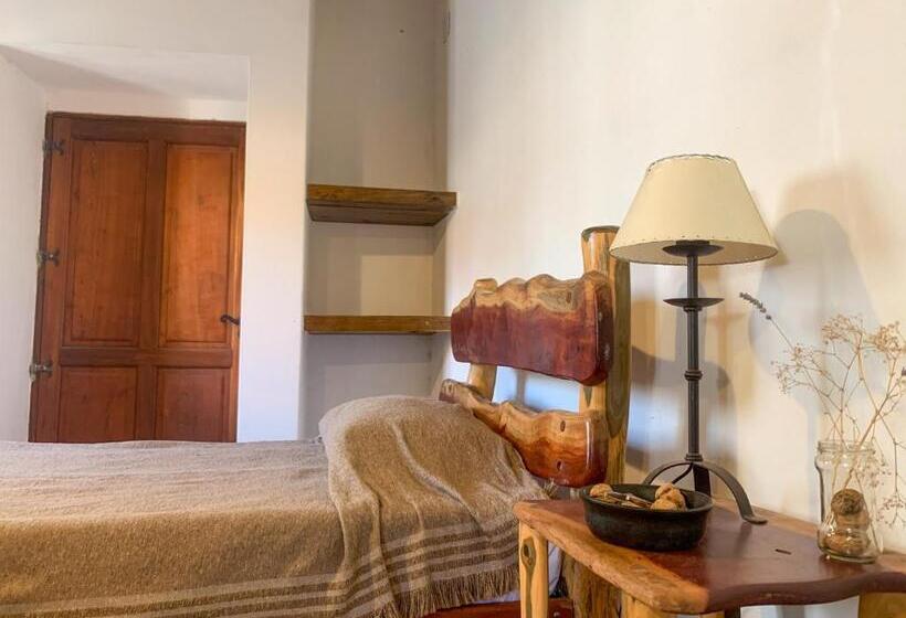 تختخواب و صبحانه Terra   Casa De Campo