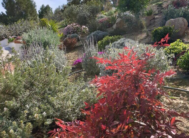 پانسیون Finca Altozano   Private Pool   Unique Client