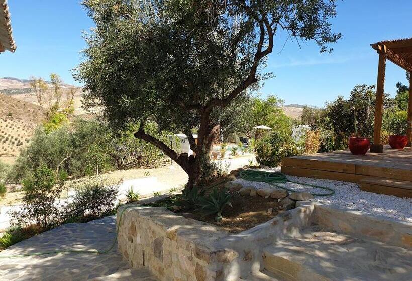 پانسیون Finca Altozano   Private Pool   Unique Client