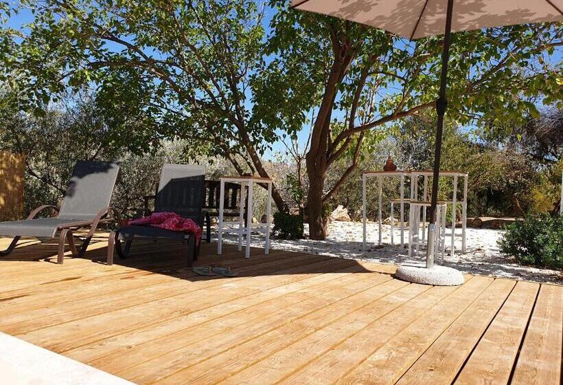 پانسیون Finca Altozano   Private Pool   Unique Client
