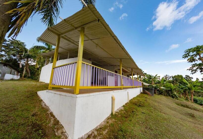 هاستل Rancho Chihuahua