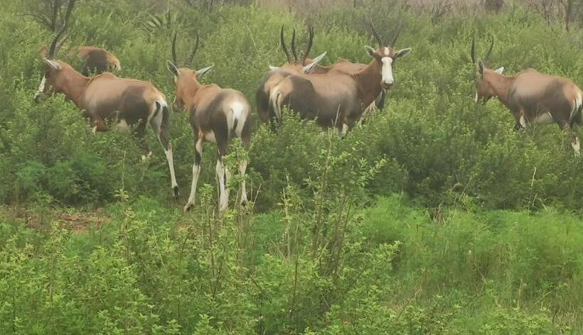 פנסיון Ka Tembe Self Catering Lodge