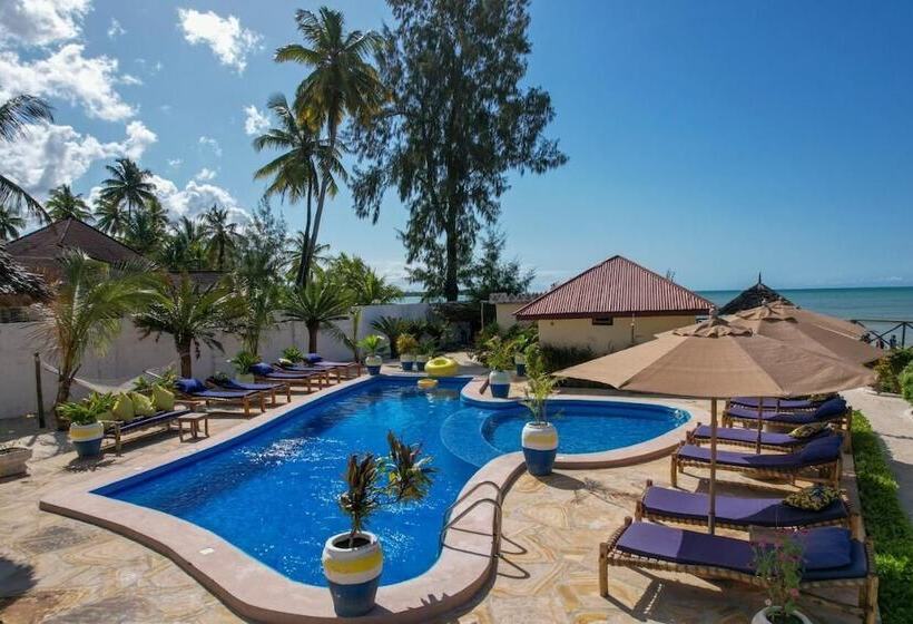 مبيت وإفطار Amber Lodge