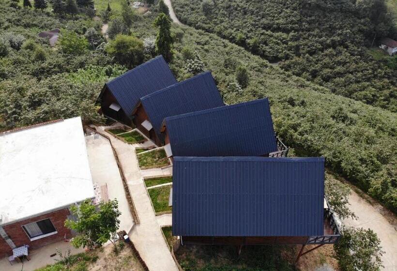 مبيت وإفطار Defne Bungalow Yomra