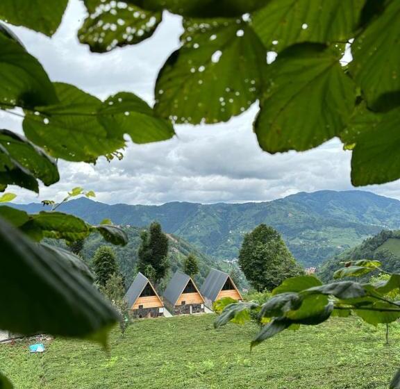 住宿加早餐  Ri̇ze Sereni̇ty Bungalov