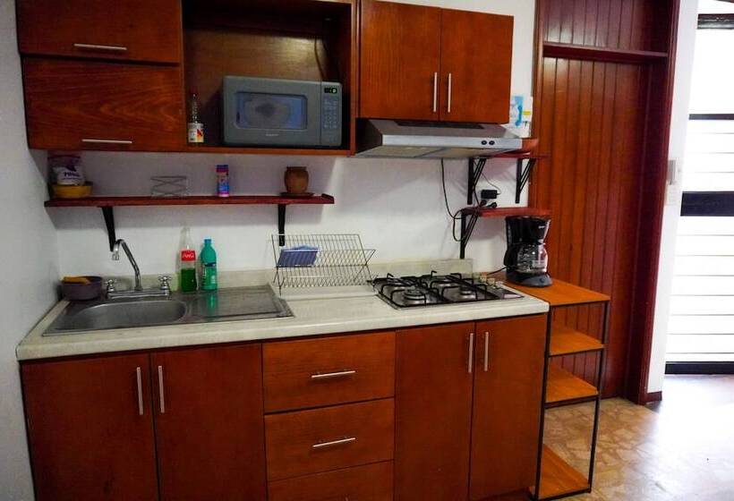 پانسیون Hostal Chocolate Calenda