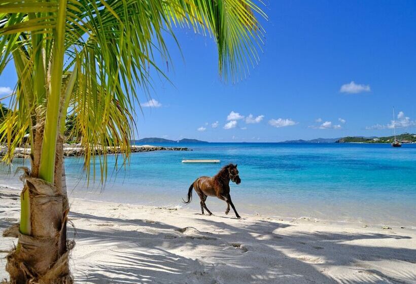 هتل The Aerial, Bvi