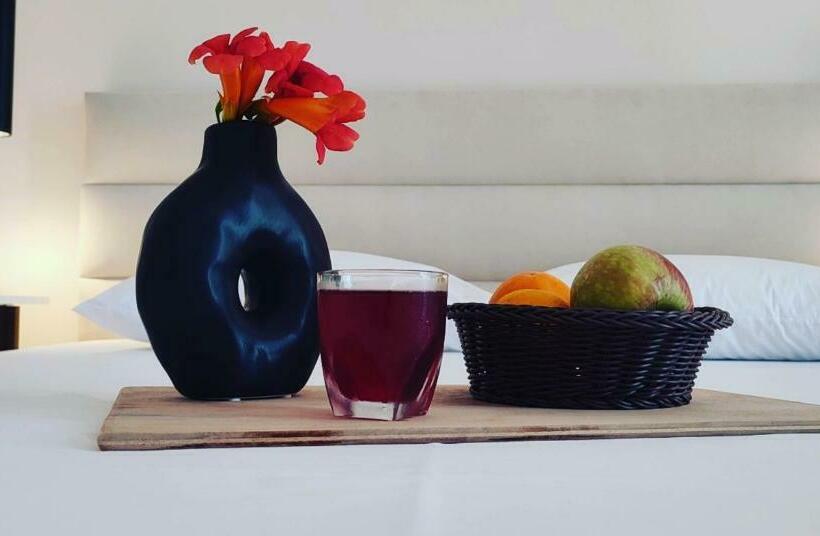 住宿加早餐 Villa Tonia