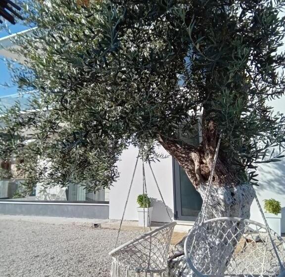 住宿加早餐 Villa Tonia