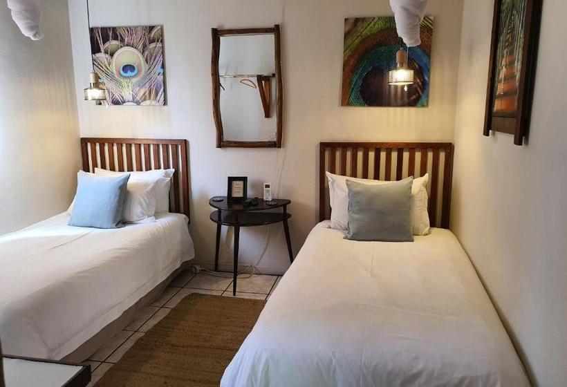 Bed and Breakfast A Traveller's Palm