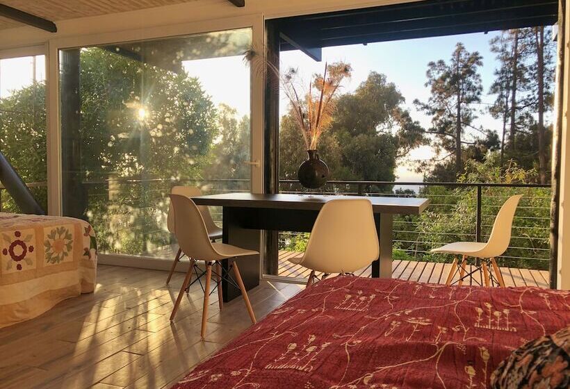 مبيت وإفطار Lofts Casa El Pangue Zapallar