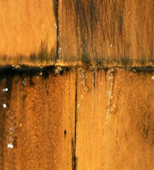 Fotos del hotel Cocomat Hotel Athens:  19