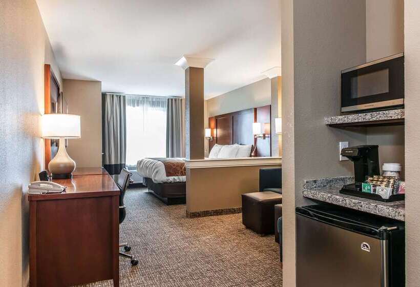 هتل Comfort Suites Rensselaer Near Fair Oaks