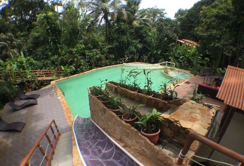 هتل Rana Roja Lodge