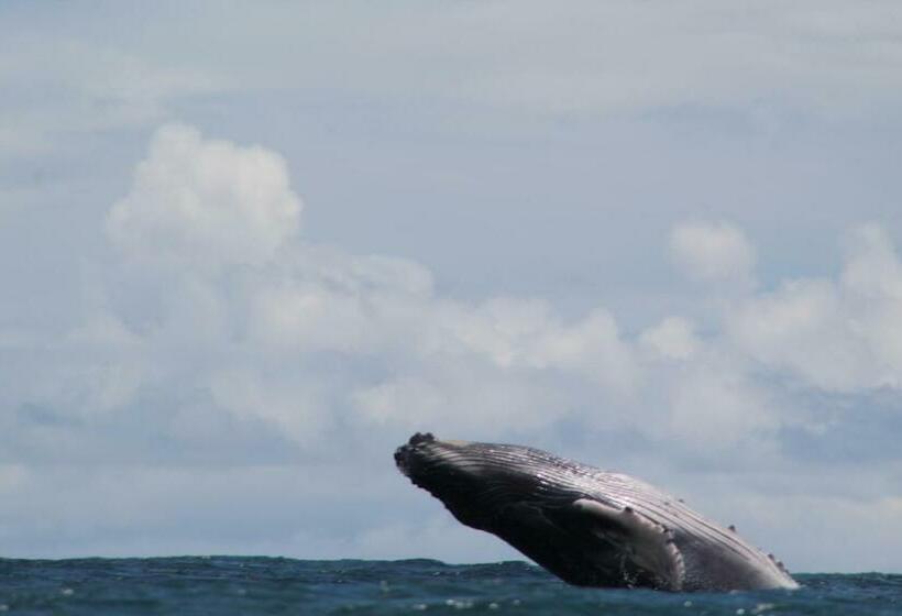 هاستل La Aldea Del Primitivo