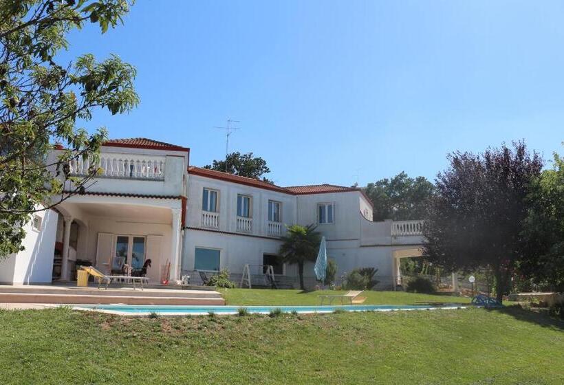 B&b Belvedere