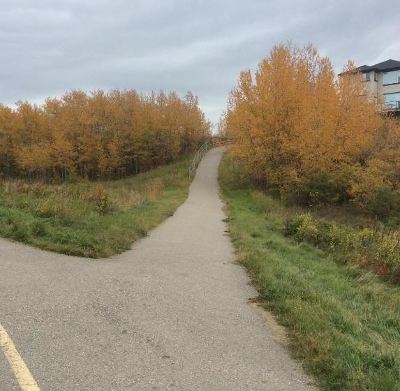 بنسيون 民宿ann S House In Calgary