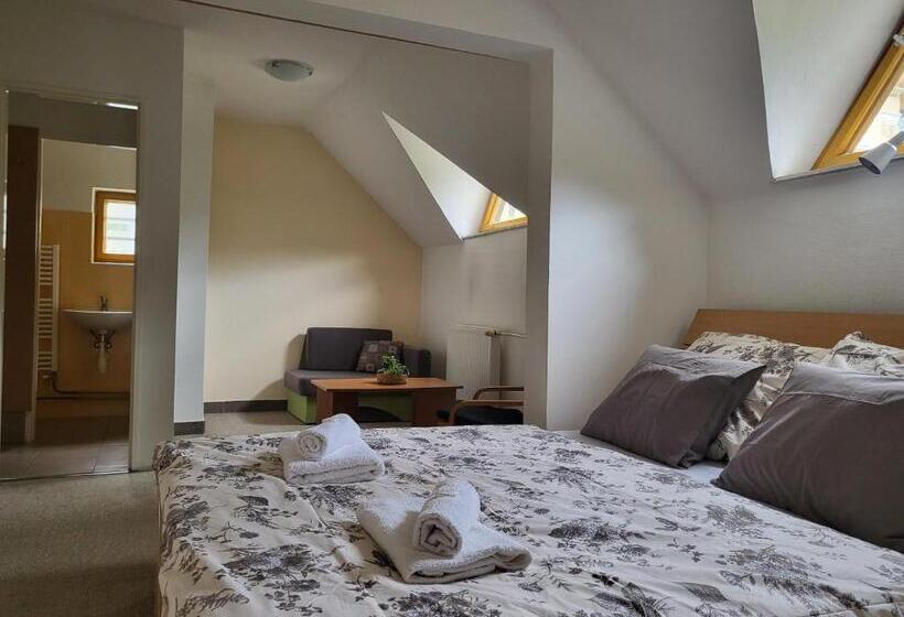 호텔 Vládní Vila