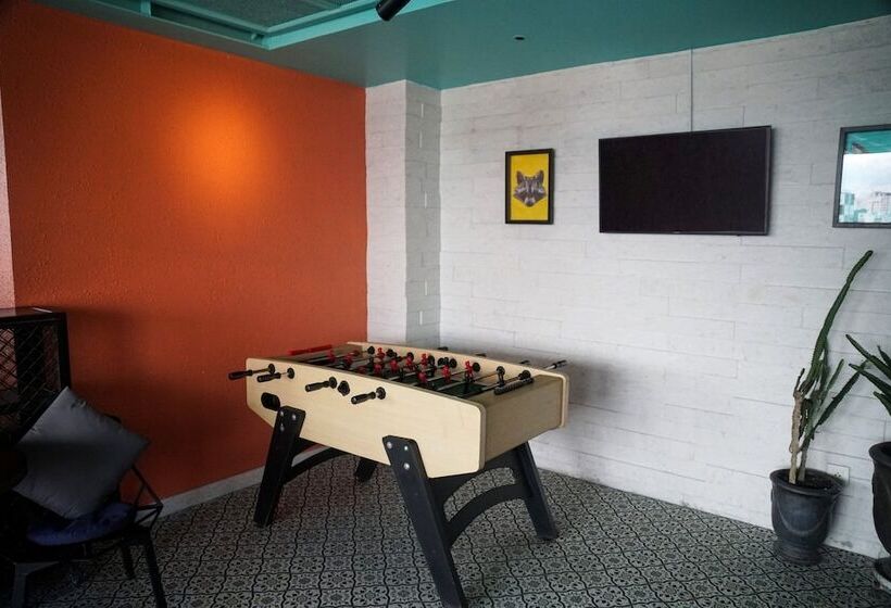 Fotos del hotel Alagon D Antique  & Spa:  36