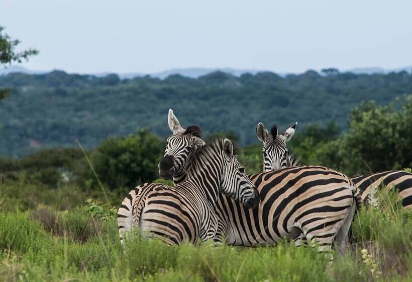 בית מלון כפרי Bushwillow Collection