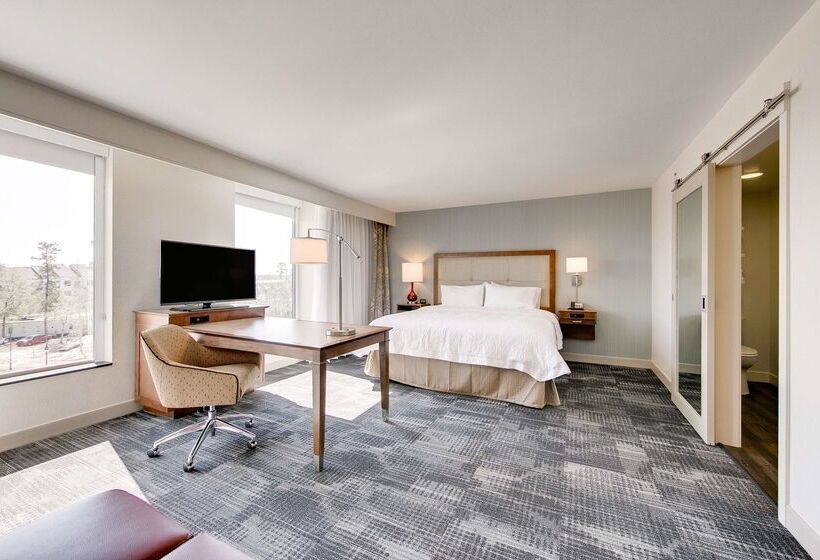 酒店 Hampton Inn & Suites North Houston Spring