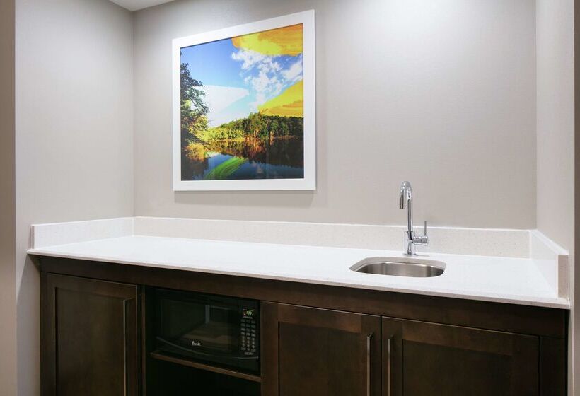 فندق Hampton Inn & Suites Hudson