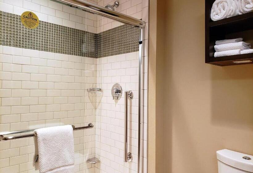 בית מלון כפרי Staybridge Suites Baltimore   Inner Harbor, An Ihg