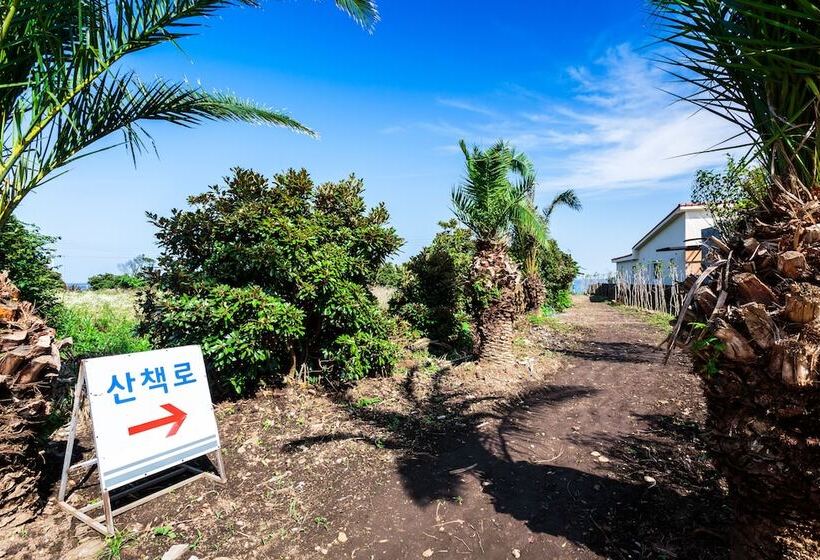 Jeju Turning Point Pension