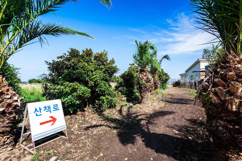 Jeju Turning Point Pension