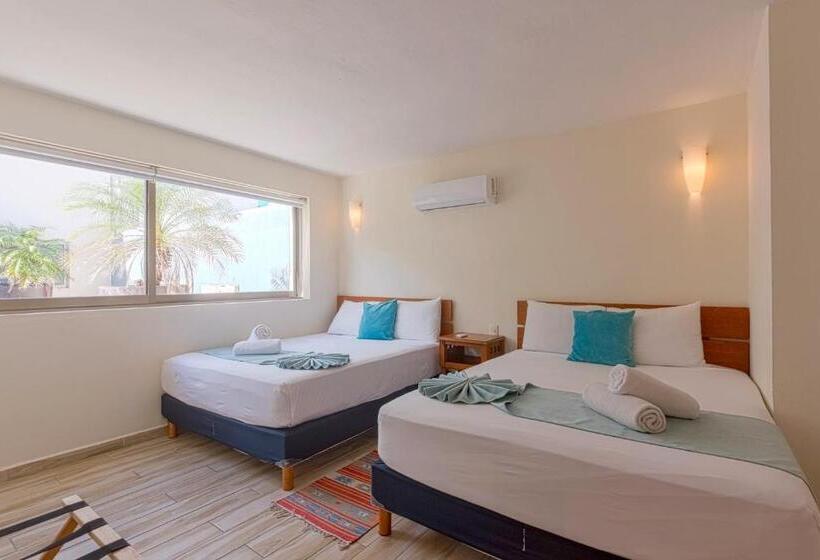 Ocean Plaza By Zamá Homes