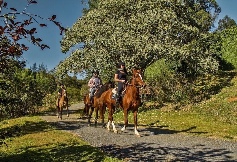 Botanique Hotel Experience   Campos Do Jordão