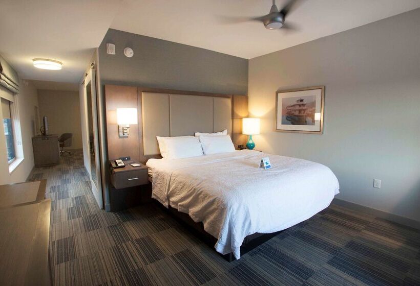 هتل Hampton Inn & Suites Downtown St. Paul