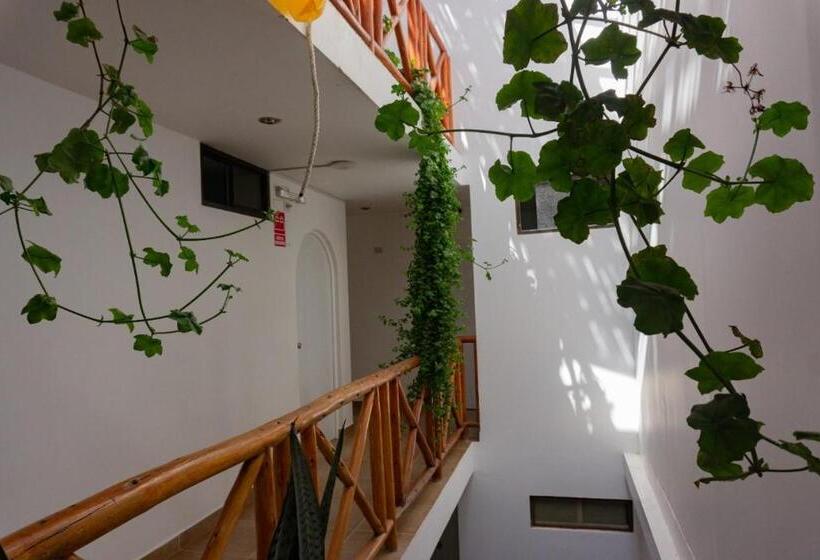 فندق El Gamonal   Paracas